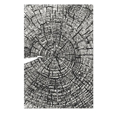 Sizzix 3D Embossing Folder A5 - Tim Holtz / Tree Rings